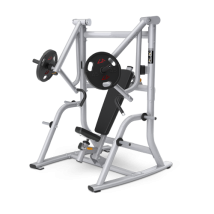 MATRIX MAGNUM MG-PL15 Независимая регулируемая скамья для жима (СЕРЕБРИСТЫЙ)